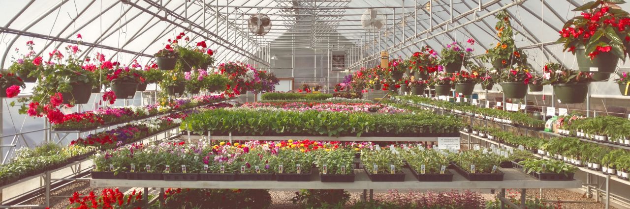 Gregor Farm & Greenhouse, Inc. photo 10