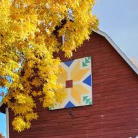 Gregor Farm & Greenhouse, Inc. photo 13